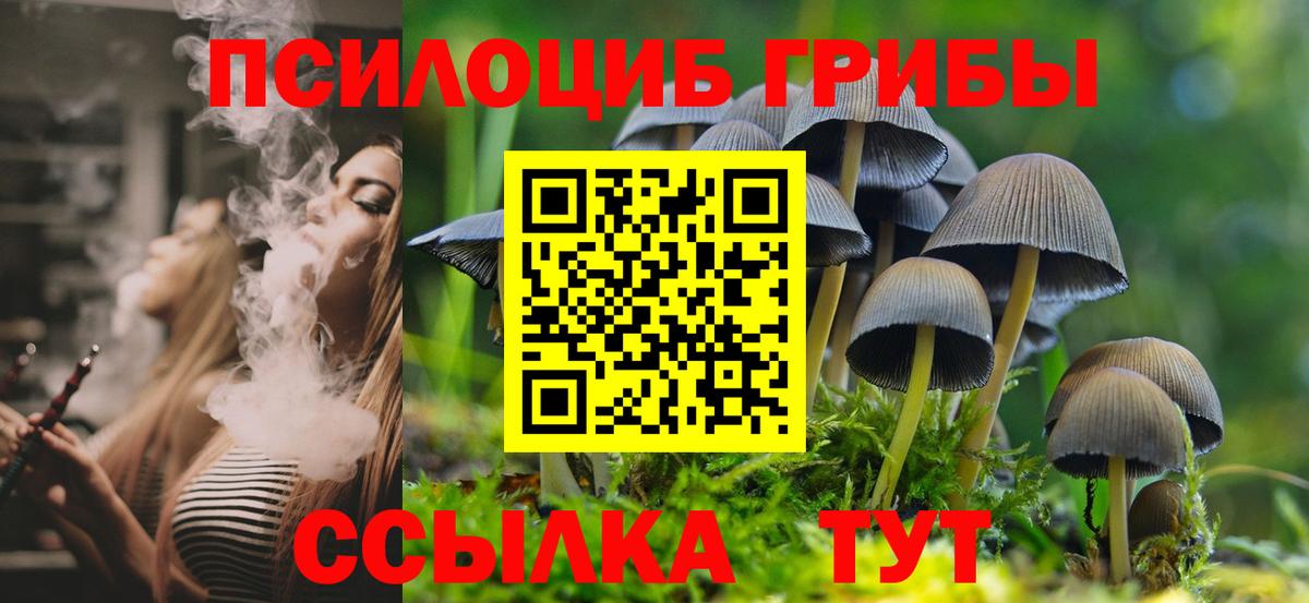Галлюциногенные грибы Cubensis  Вход с VPN  Ртищево 
